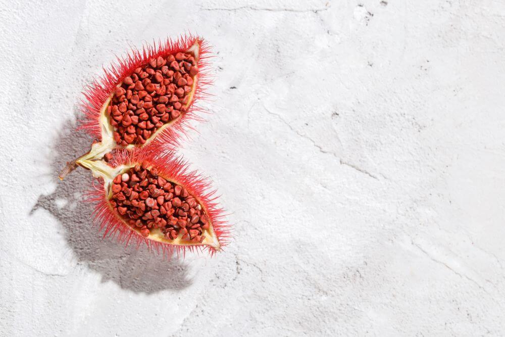 Root to Rise Ceremonial Cacao Elixir