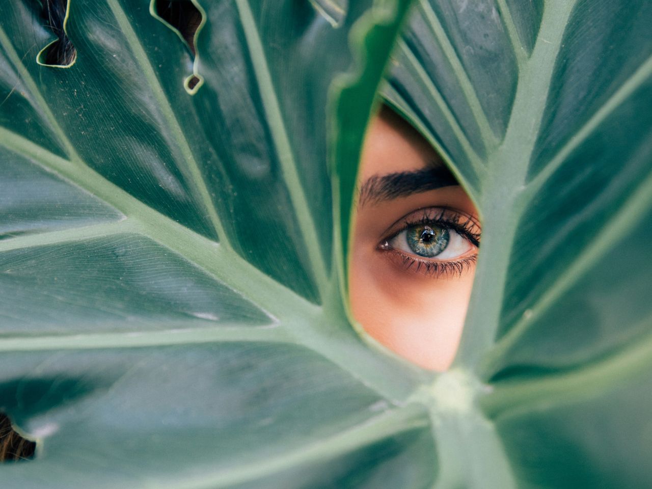 eye looking through leaf - herbs for adhd focus
